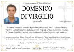 Domenico Di Virgilio
