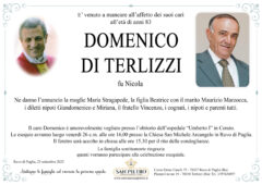 Domenico Di Terlizzi
